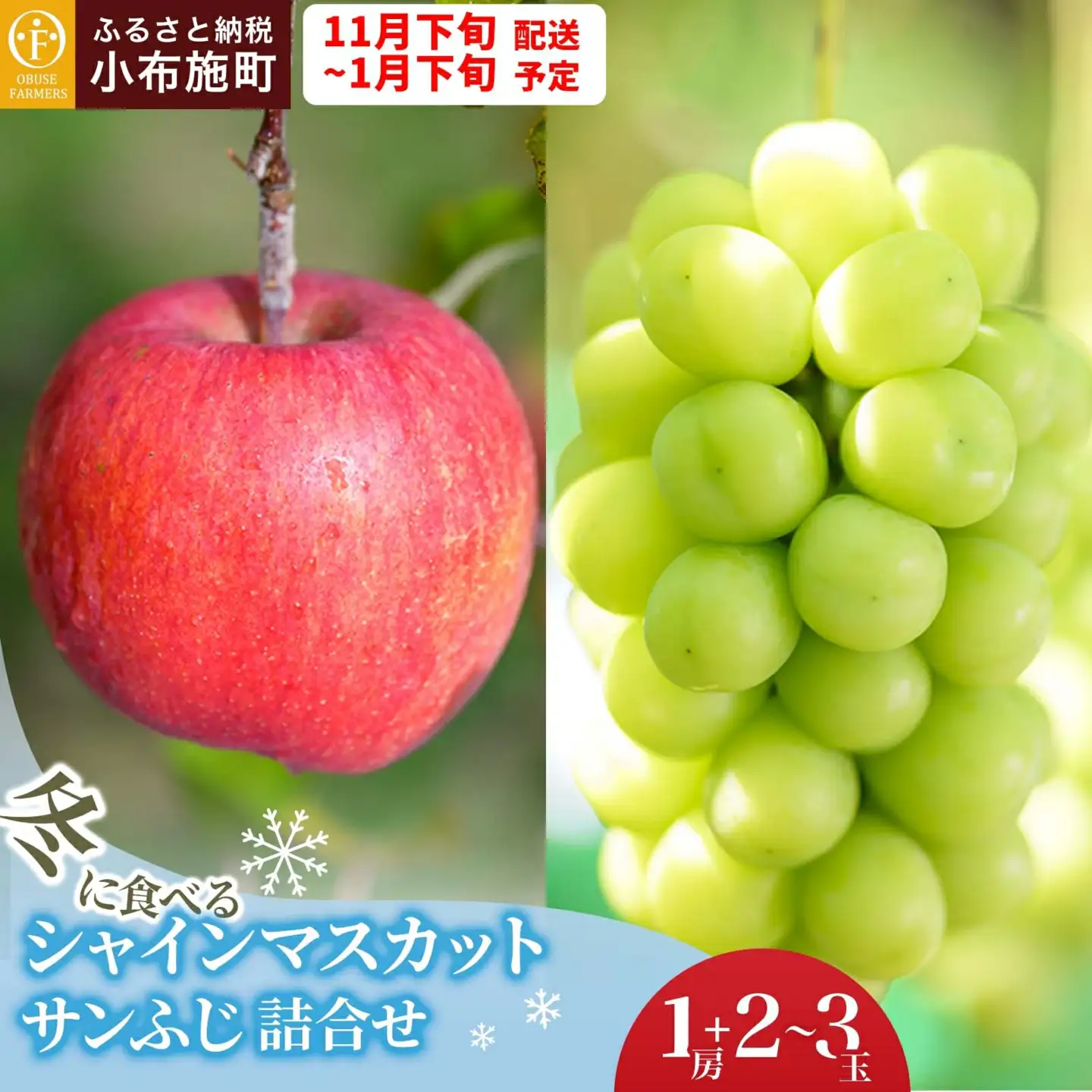 冬に食べるシャインマスカットとサンふじ詰合せ 1房（約500g） 2～3玉［おぶせファーマーズ］ ぶどう りんご 林檎 リンゴ 果物 フルーツ  長野 信州 数量限定 令和8年産【2026年11月下旬～2027年1月下旬発送】[F-66]