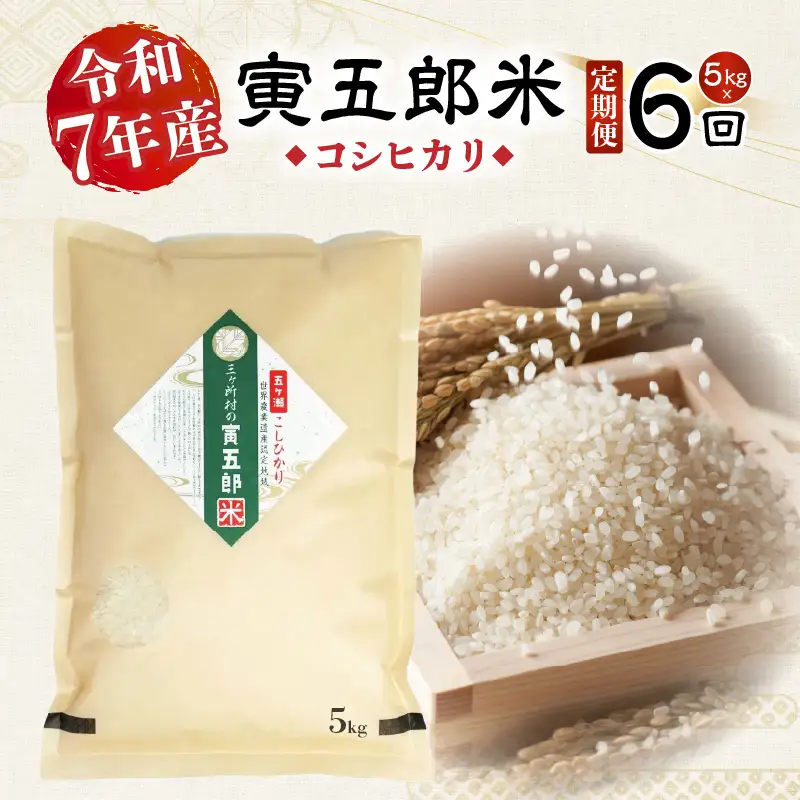【6か月定期便】【令和7年産】三ヶ所米の寅五郎米コシヒカリ 5kg お米 米 ご家庭用 家庭用 自分用 おすそ分け 寅五郎米 コシヒカリ こしひかり 精米 白米 白飯 白ご飯 棚田 おむすび おにぎり お弁当 炭水化物 主食 お取り寄せ グルメ 普段使い 定期便 _Tk019-t038