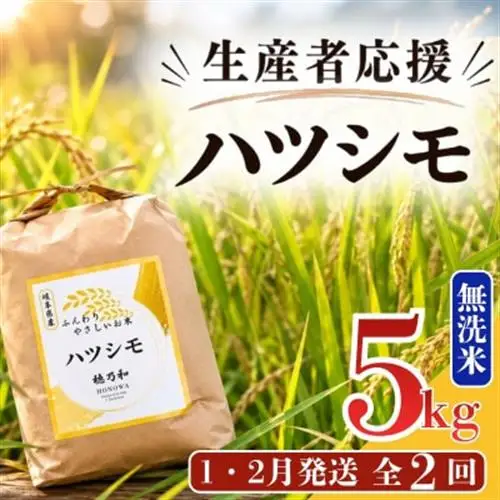 【発送月固定定期便】【先行予約】生産者応援!岐阜県産ハツシモ(無洗米)5kg【1・2月発送】全2回【配送不可地域：離島】【4073315】