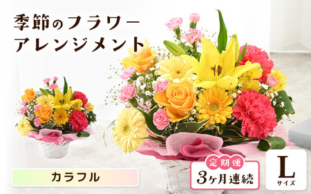 定期便 ≪3ヶ月連続お届け≫ 季節のフラワーアレンジメント L (カラフル) 花束 生花 プレゼント [E-20705_03]