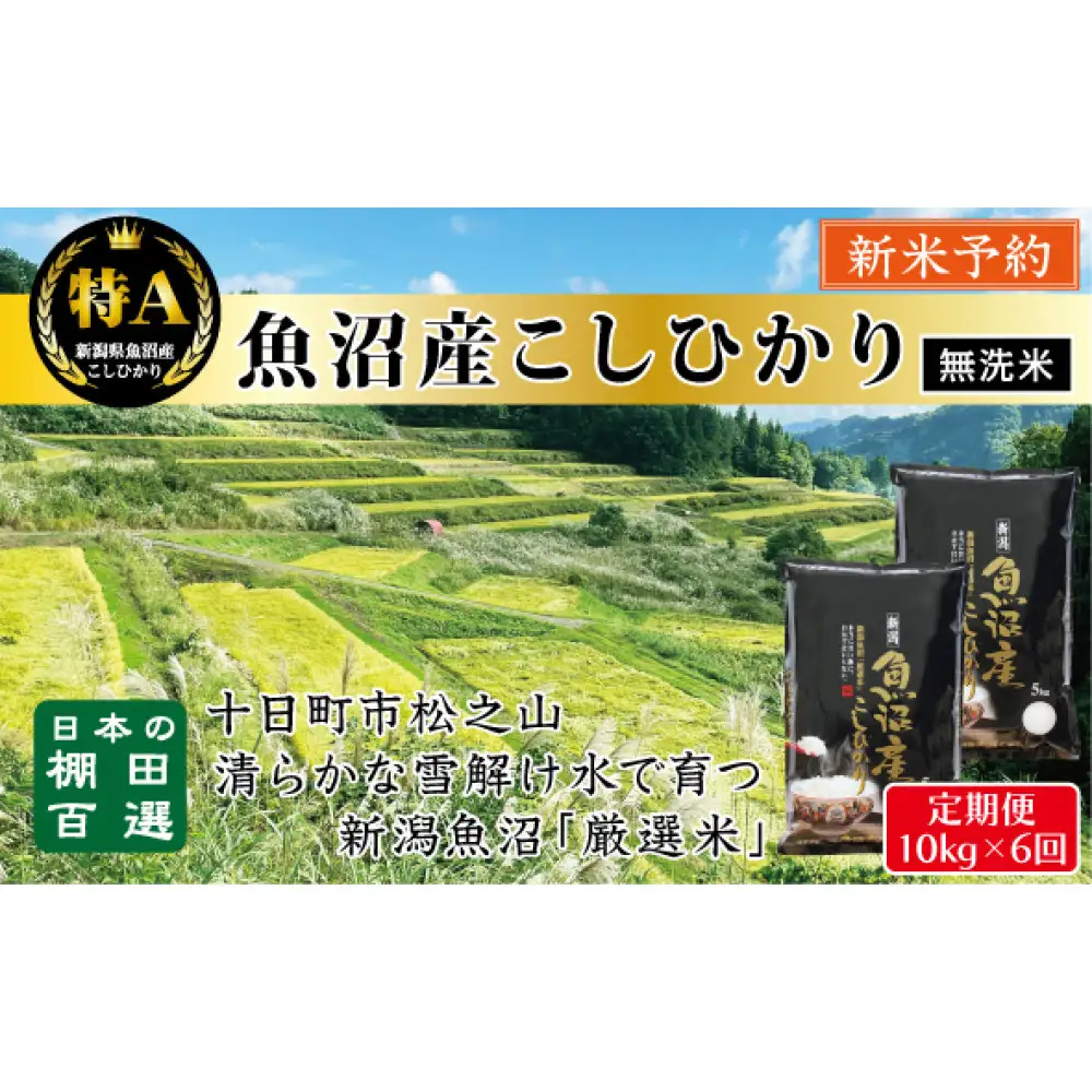【無洗米】【令和8年産新米予約】【6か月定期便】10月発送開始《食味鑑定士厳選》日本棚田百選・十日町（魚沼）産こしひかり 10kg全6回