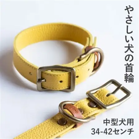 首輪 本革 イタリアンレザー イエロー 中型犬用 (34-42センチ)ペット用品【dc-01ss】【1663233】