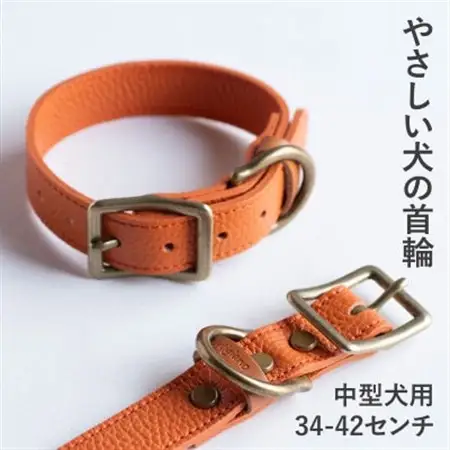 首輪 本革 イタリアンレザー オレンジ 中型犬用 (34-42センチ)ペット用品【dc-01ss】【1663249】