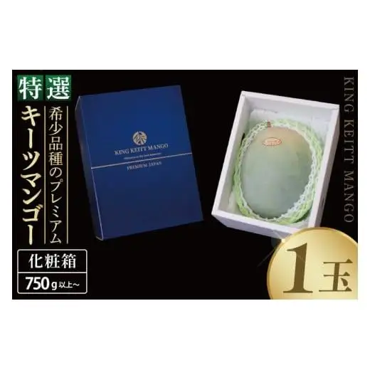 【2027年8月より順次発送】【KING KEITT MANGOl】特選プレミアムキーツマンゴー 1玉(約750g以上) 沖縄県 豊見城市(BV012)