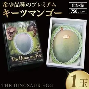 【2027年8月より順次発送】【THE Dinosaur Egg】プレミアムキーツマンゴー 1玉(約750g以上) (BV013)