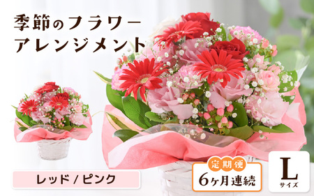 定期便 ≪6ヶ月連続お届け≫ 季節のフラワーアレンジメント L (レッド・ピンク) 花束 生花 プレゼント [K-20701_01]