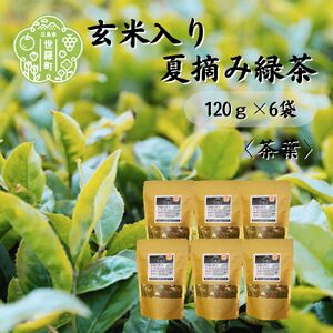玄米入り夏摘み緑茶 120g×6袋 世羅茶 お茶 茶葉 玄米茶 緑茶 日本茶 A030-08