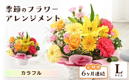 定期便 ≪6ヶ月連続お届け≫ 季節のフラワーアレンジメント L (カラフル) 花束 生花 プレゼント [K-20701_03]
