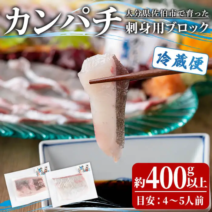 カンパチ 刺身用 ブロック (約400-500g・4-5人前) カンパチ かんぱち 鮮魚 刺身 海鮮 鮮魚 さしみ 刺し身  【opba003】【海べ】