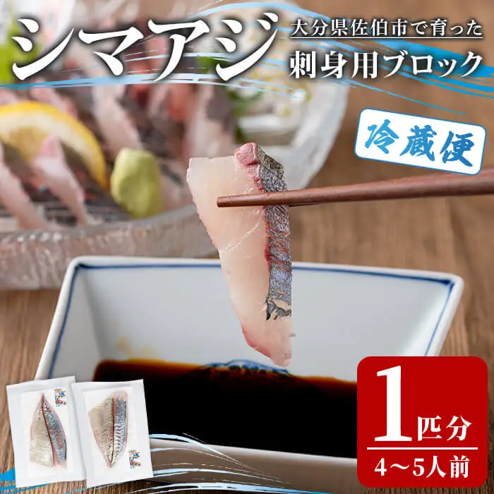 シマアジ 刺身用 ブロック (1匹分・4-5人前) シマアジ しまあじ  鮮魚 刺身 海鮮 さしみ 刺し身 【opba005】【海べ】