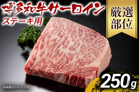 【先行予約】【A4～A5】博多和牛サーロインステーキ 250ｇ（250ｇ×1枚） CP011er F