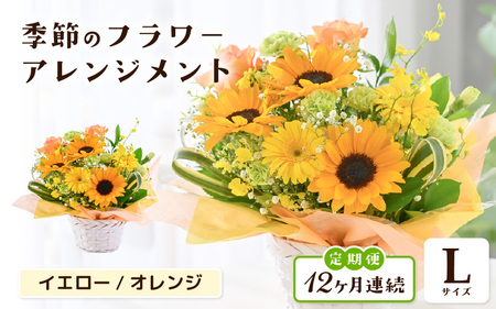 定期便 ≪12ヶ月連続お届け≫ 季節のフラワーアレンジメント L (イエロー・オレンジ) 花束 生花 プレゼント [O-20703_02]