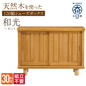 【組立不要】大川家具 シューズボックス［和光］幅120cm _ 大川家具 シューズボックス 和光 幅 120cm ブラウン ロータイプ 国産 靴箱 組立不要 アジャスター 調整可能 可動棚 有効活用 収納力 機能性 玄関収納 オーソドックス デザイン 和風 洋風 インテリア 収納 日本製 お取り寄せ 福岡県 久留米市 送料無料  〔Qd141〕