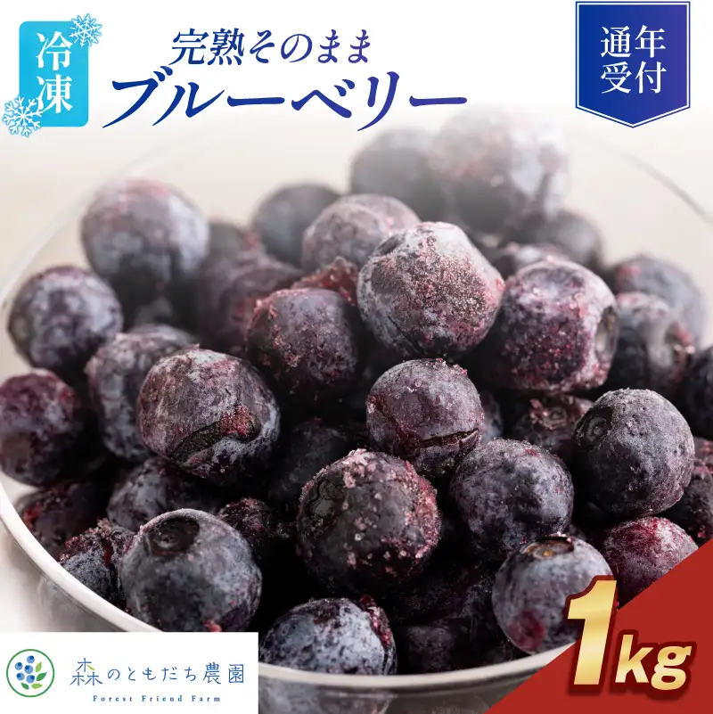 森のともだち農園 冷凍ブルーベリー 1kg