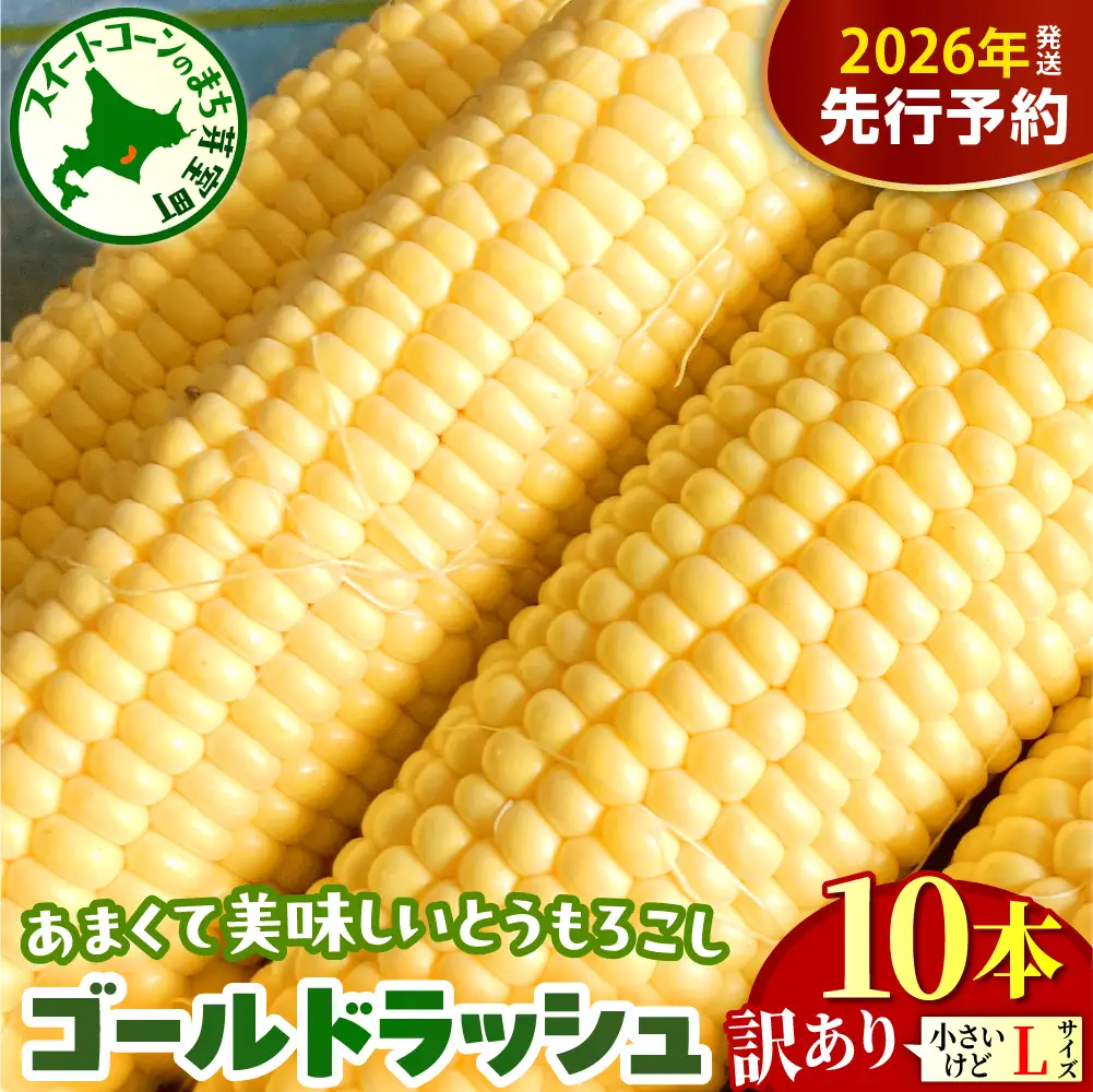 【2026年8月上旬～8月下旬頃配送】【訳あり】北海道十勝芽室町 とうもろこし ゴールドラッシュ Lサイズ 10本セット　キャンプ飯 BBQ ソロキャン人気 トウモロコシ 生 野菜 北海道 十勝 芽室町 送料無料 お取り寄せ me078-006c-26