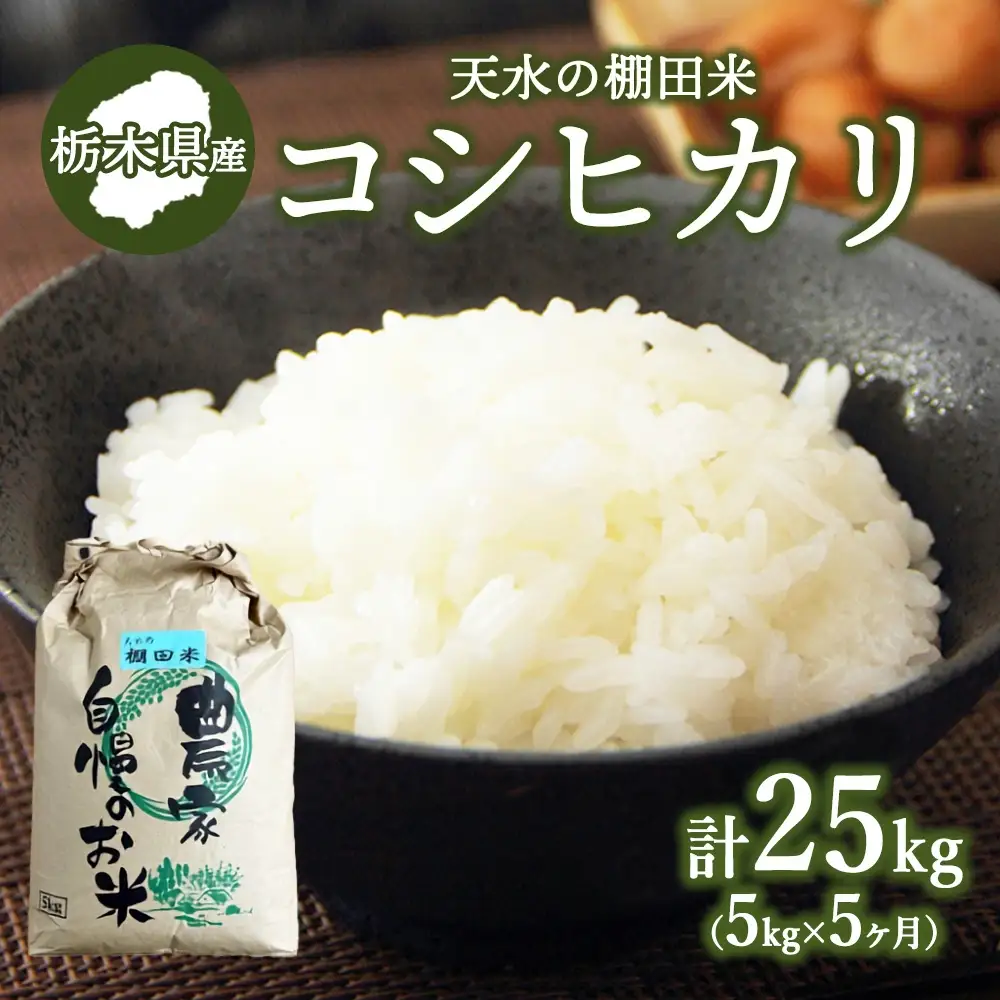 50-16【10月下旬発送】【5か月定期便】天水の棚田米  コシヒカリ 5kg