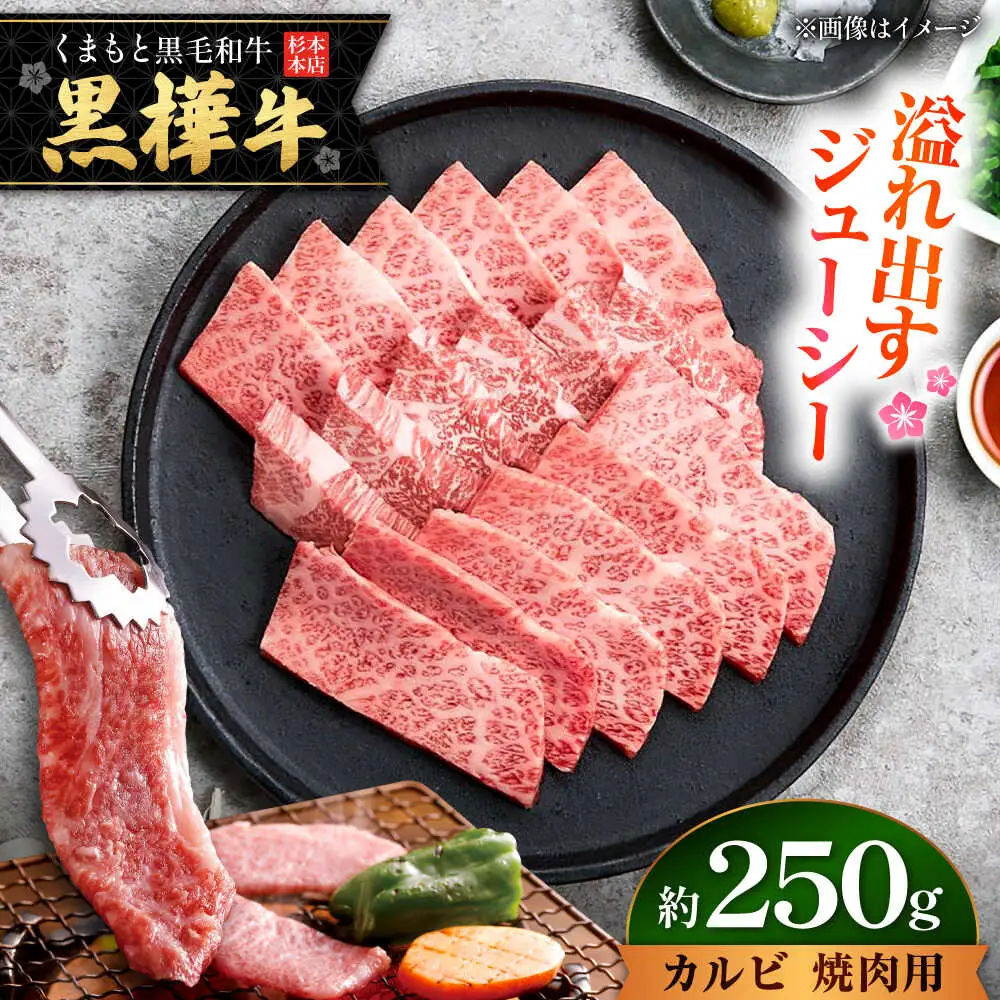 くまもと黒毛和牛 黒樺牛 A4〜A5等級 カルビ 焼肉用 約250g 黒毛和牛 カルビ焼肉[AYBJ031]