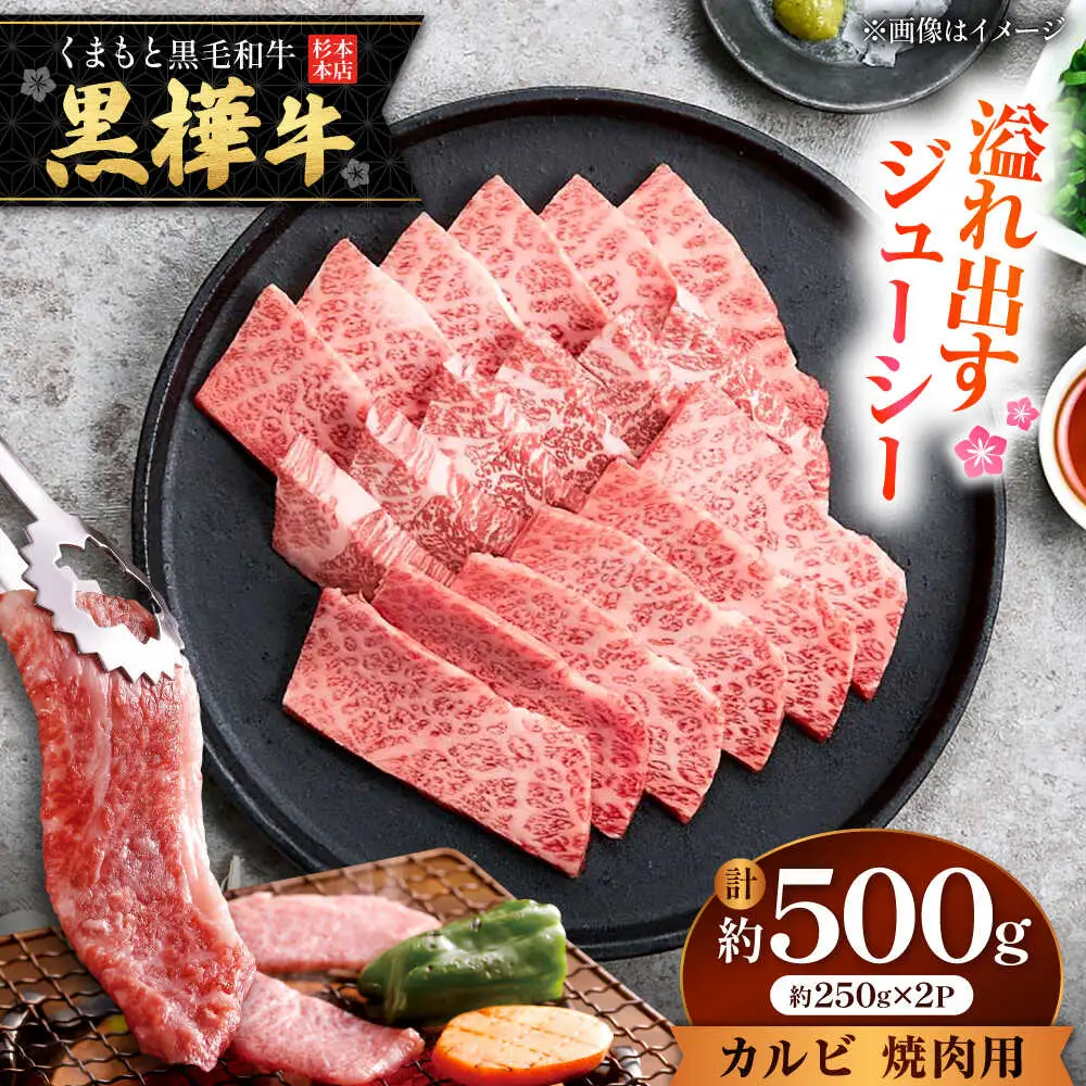 くまもと黒毛和牛 黒樺牛 A4〜A5等級 カルビ 焼肉用 約500g 黒毛和牛 カルビ焼肉[AYBJ032]