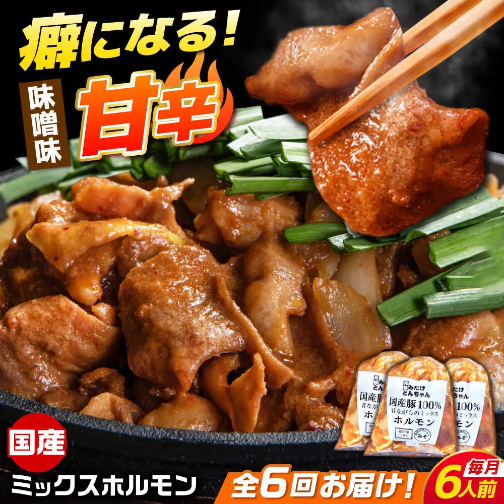 【6回定期便】昔ながらのミックスホルモン 3袋（6人前） / モツ もつ レバー ホルモン / 御嵩町 / 藤よし[AVAA086]