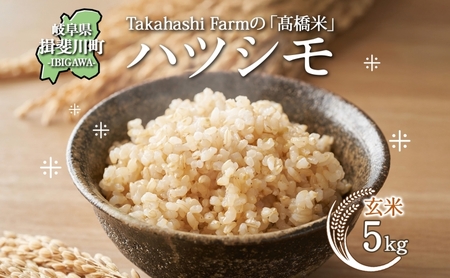 ハツシモ 高橋米 玄米 大粒 ブランド米 ハツシモ【5kg】【先行予約】