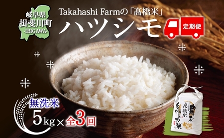 ハツシモ 高橋米 無洗米 大粒 ブランド米 ハツシモ【5kg】【定期便全3回 先行予約】