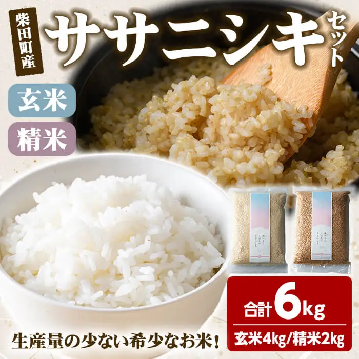 【令和8年産】ササニシキ 精米 玄米 セット 合計6kg（玄米4kg/精米2kg） 柴田町産 お米 おこめ 米 コメ 白米 ご飯 ごはん おにぎり お弁当 【しばたの未来株式会社】sh012