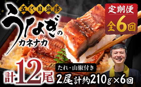 国産若うなぎ 2尾 定期便6回 うなぎ