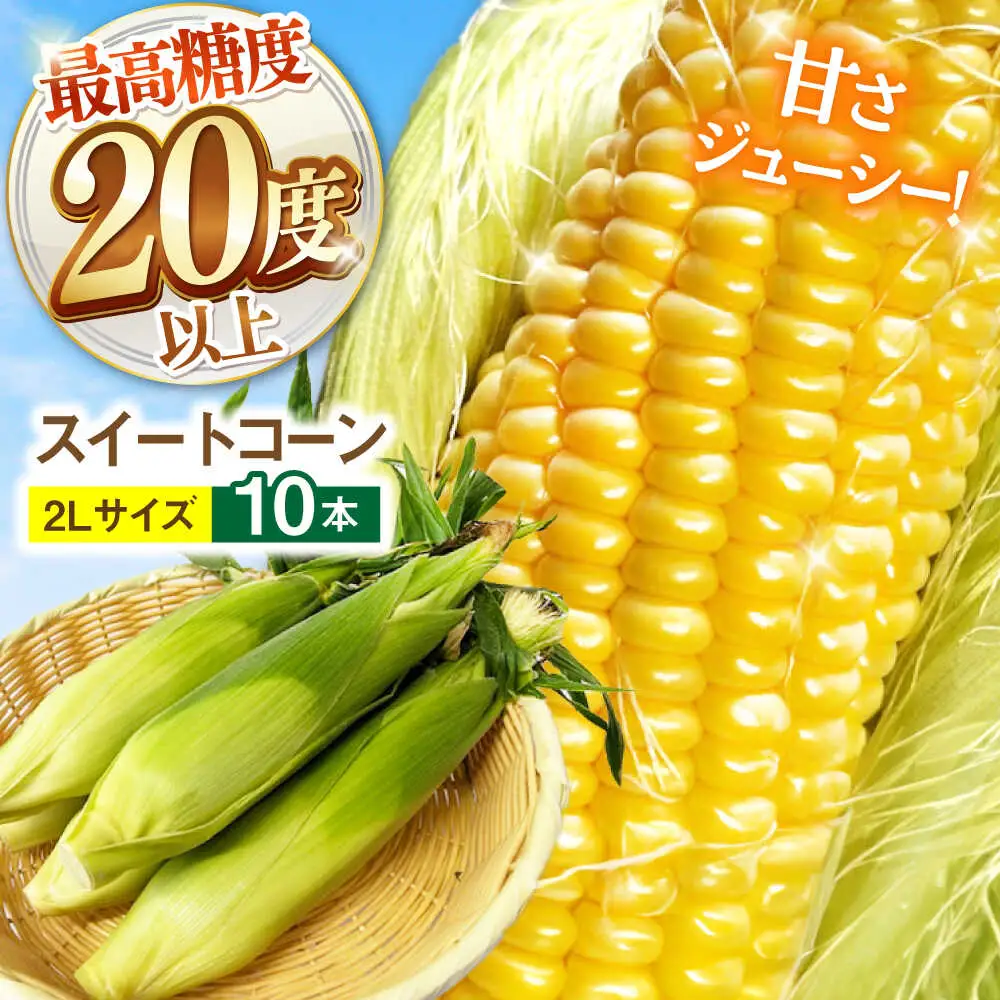 【先行予約】とうもろこし 10本 [SGB008] | とうもろこし