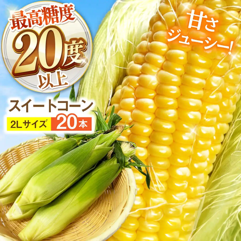 【先行予約】とうもろこし 20本 [SGB009] | とうもろこし