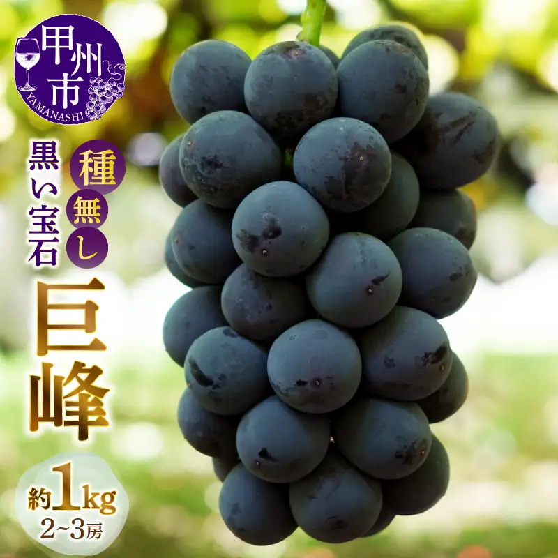 甲州市産種無し巨峰 約1kg（2房～3房）【2026年発送】（MG）B-499 巨峰 フルーツ
