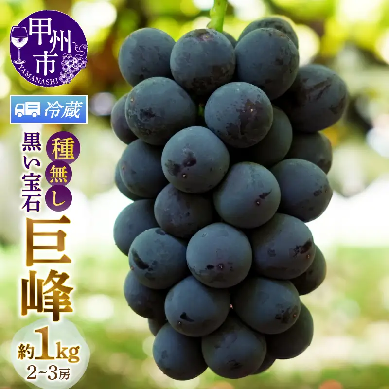 【クール便発送】甲州市産種無し巨峰 約1kg（2房～3房）【2026年発送】（MG）B-499CO 巨峰 フルーツ