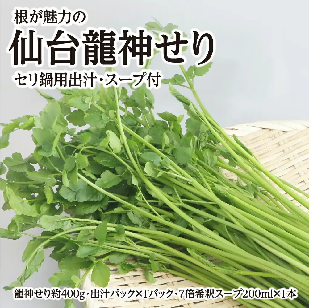 根が魅力の仙台龍神せり鍋出汁セット 3～4人前 期間限定