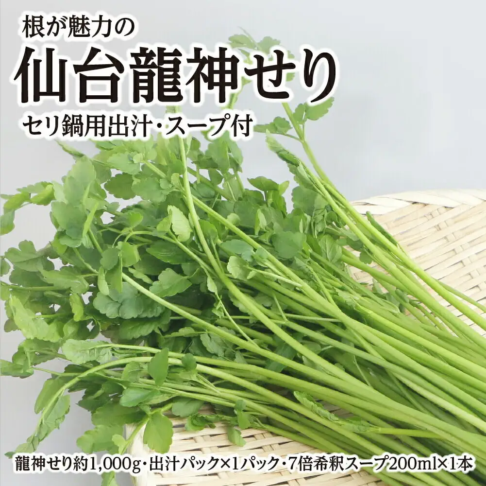 根が魅力の仙台龍神せり鍋出汁セット 9～10人前 期間限定