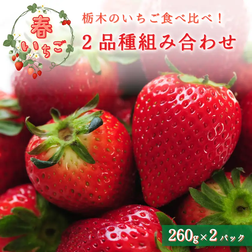 【春いちご】栃木のいちご食べ比べ!「2品種組み合わせ!」セット(260g×2パック)【配送不可地域：離島・沖縄県】【1663315】