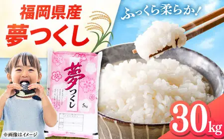 福岡県産米 夢つくし 30kg (5kg×6袋) 精米  [ADCE004]  米 白米 お米