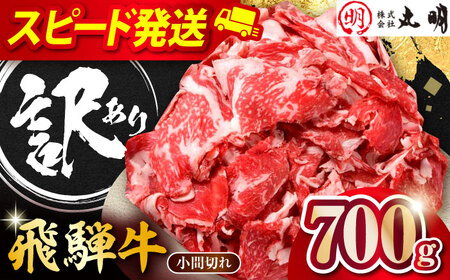 飛騨牛 コマ切れ 700ｇ 多治見市 / 飛騨牛の丸明 冷凍 和牛 訳あり[THL001]