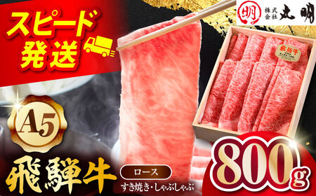 【A5等級】 飛騨牛 ロース すき焼き しゃぶしゃぶ用 800g 多治見市 / 飛騨牛の丸明 冷凍 和牛 赤身 霜降り[THL007]