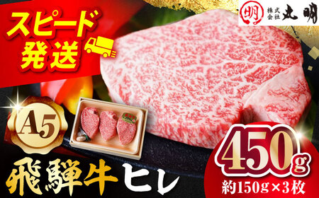 【A5等級】 飛騨牛 ヒレ 450g(約150g×3枚) 多治見市 / 飛騨牛の丸明 冷凍 和牛 赤身 霜降り 希少部位[THL008]