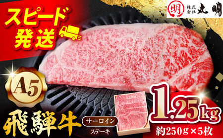 【A5等級】 飛騨牛 サーロインステーキ用 1.25kg(約250g×5枚) 多治見市 / 飛騨牛の丸明 冷凍 和牛 赤身 霜降り 希少部位[THL009]
