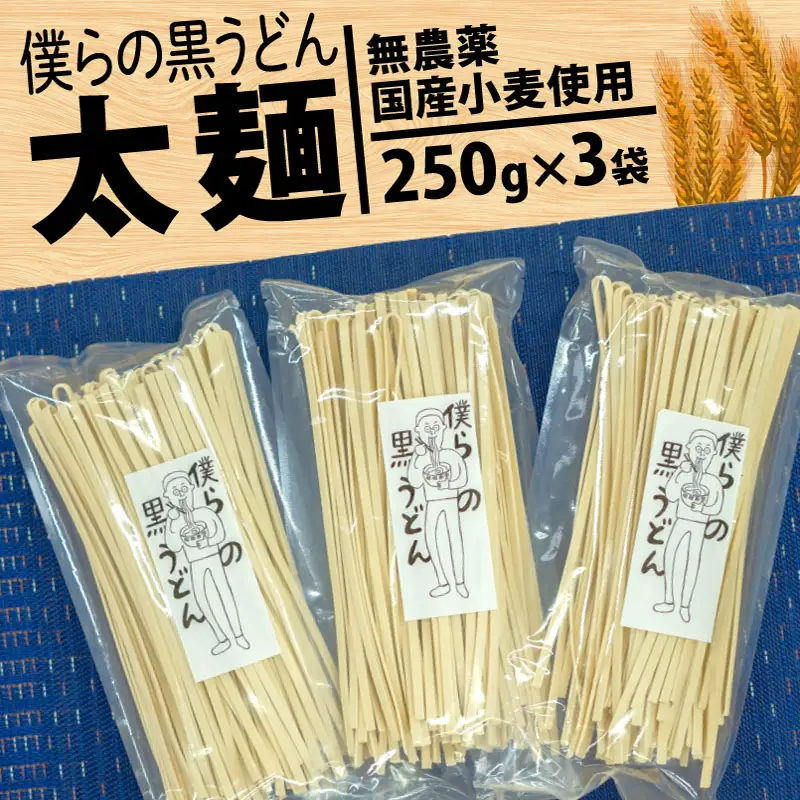 【太麺】黒うどん 250g 3袋 750g 乾麺 無農薬 麦 国産 小麦粉 うどん 麺 僕らの黒うどん 僕らの集会所 埼玉県 羽生市