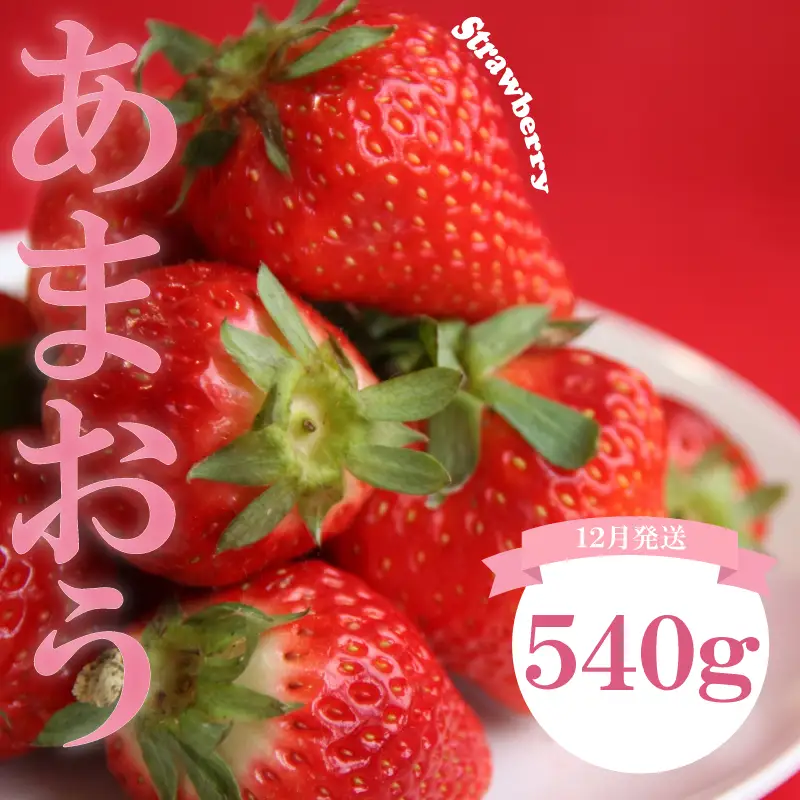 【2026年12月発送】 苺 あまおう 540g (270g×2P) いちご | あまおう OKI