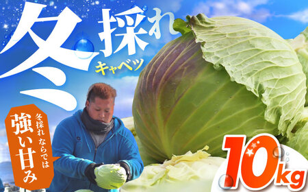 【先行予約】 キャベツ 10kg 【吉祥】[HDG001]