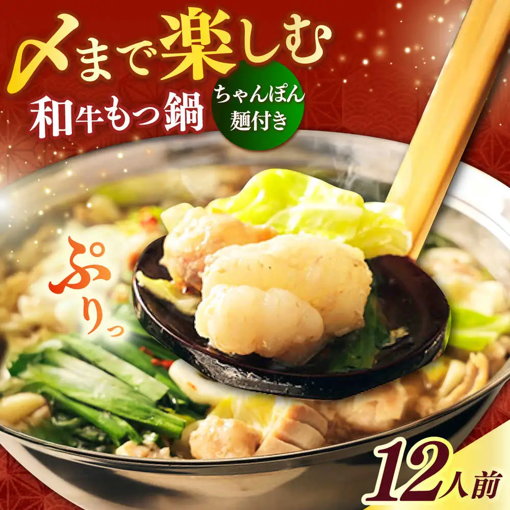 もつ鍋 醤油味 12人前 ちゃんぽん麺付 [ABCL171] もつ鍋