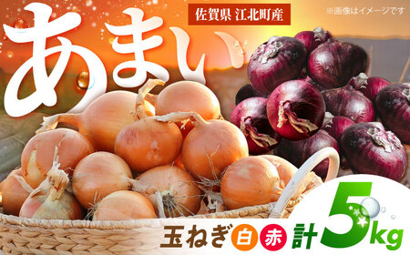 【先行予約】 玉ねぎ（白・赤）セット 計5kg 【吉祥】[HDG002]