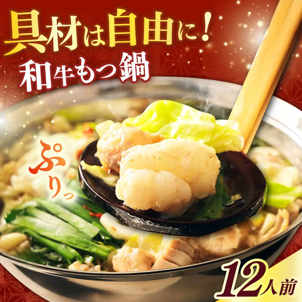 もつ鍋 醤油味 12人前 麺なし [ABCL175] もつ鍋