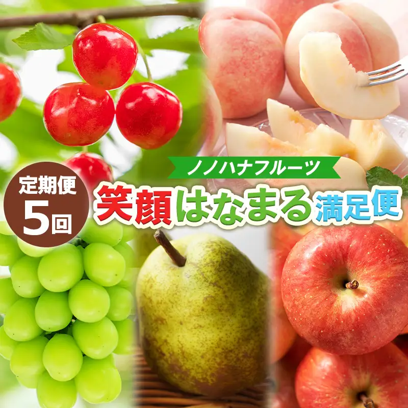 【定期便5回】ノノハナフルーツ 笑顔はなまる満足便 FY25-330
