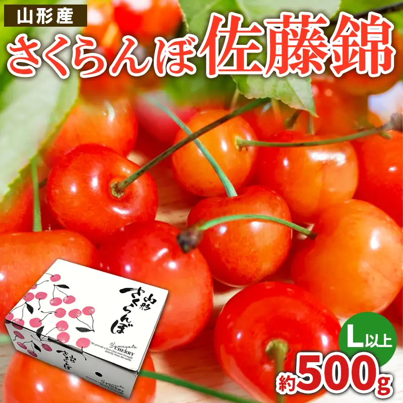 さくらんぼ 佐藤錦 L以上 約500g【令和9年産先行予約】FS26-621