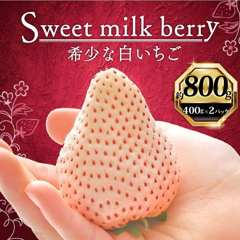 【期間限定】白いちご 800g ｜ いちご