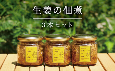 生姜の佃煮 3個 myz11 myz20 myz21
