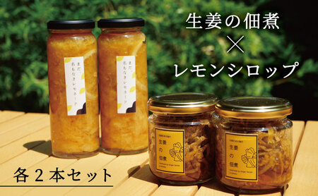 レモンシロップと佃煮セット（各2個）                                                 myz11 myz20